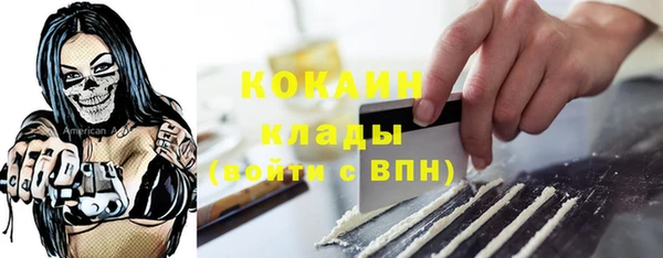 индика Снежинск