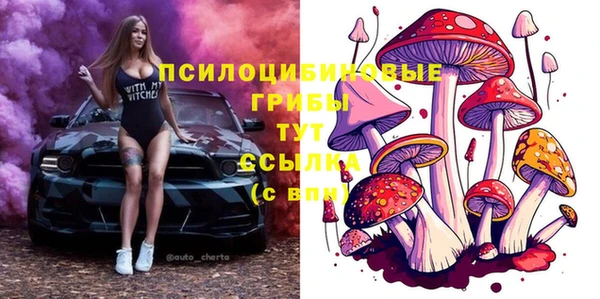 МДПВ Верея