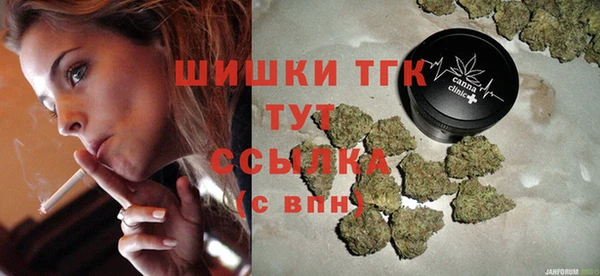 индика Снежинск
