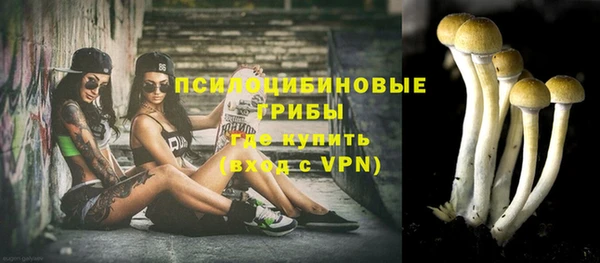 МДПВ Верея