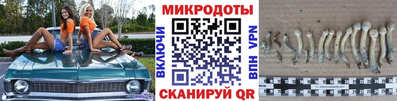 где можно купить наркотик  Магнитогорск  Галлюциногенные грибы Magic Shrooms 